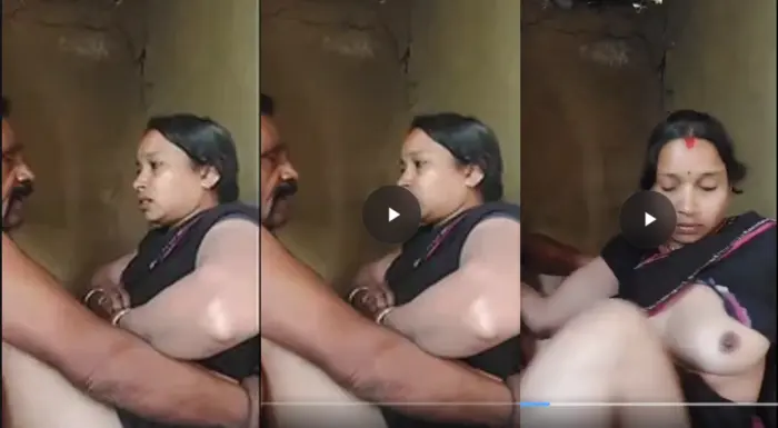 Sasur And Bahu Indian Sex